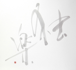 独楽